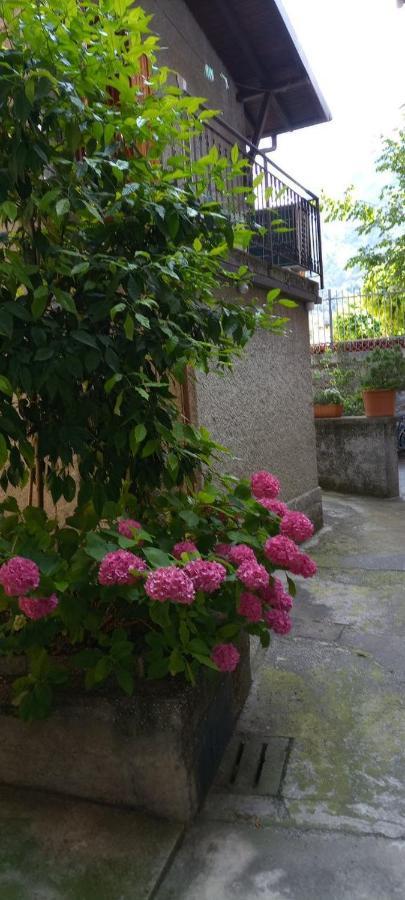La Casetta Di Vassena Oliveto Lario Luaran gambar